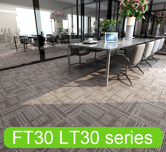 FT30 LT30 series